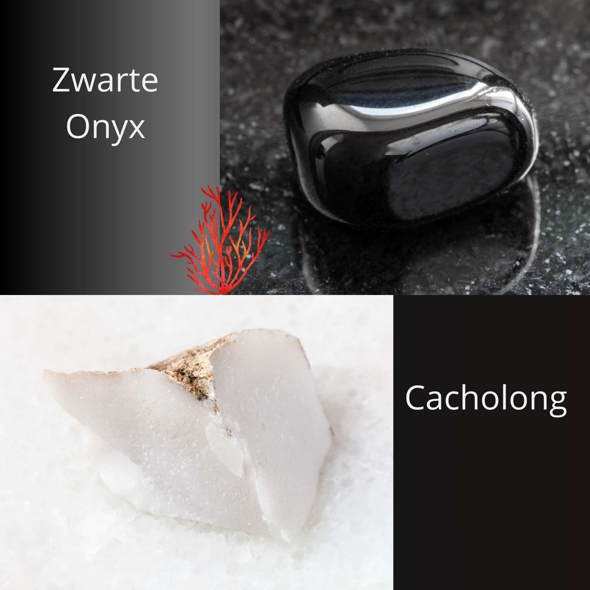 Hanger zwarte onyx met cacholong zilver