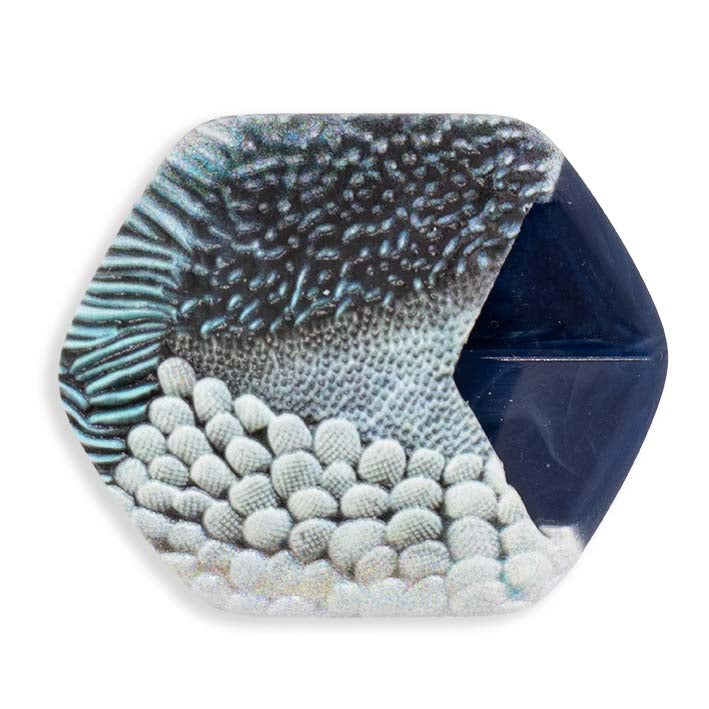 Cube hanger Blue Coral van Fates, donkerblauw met voelbaar koraalreliëf